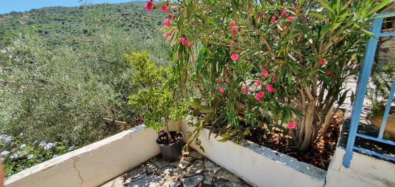 βορειου Ηπειρου Maison de vacances Τyros Sapounakeika Extérieur photo