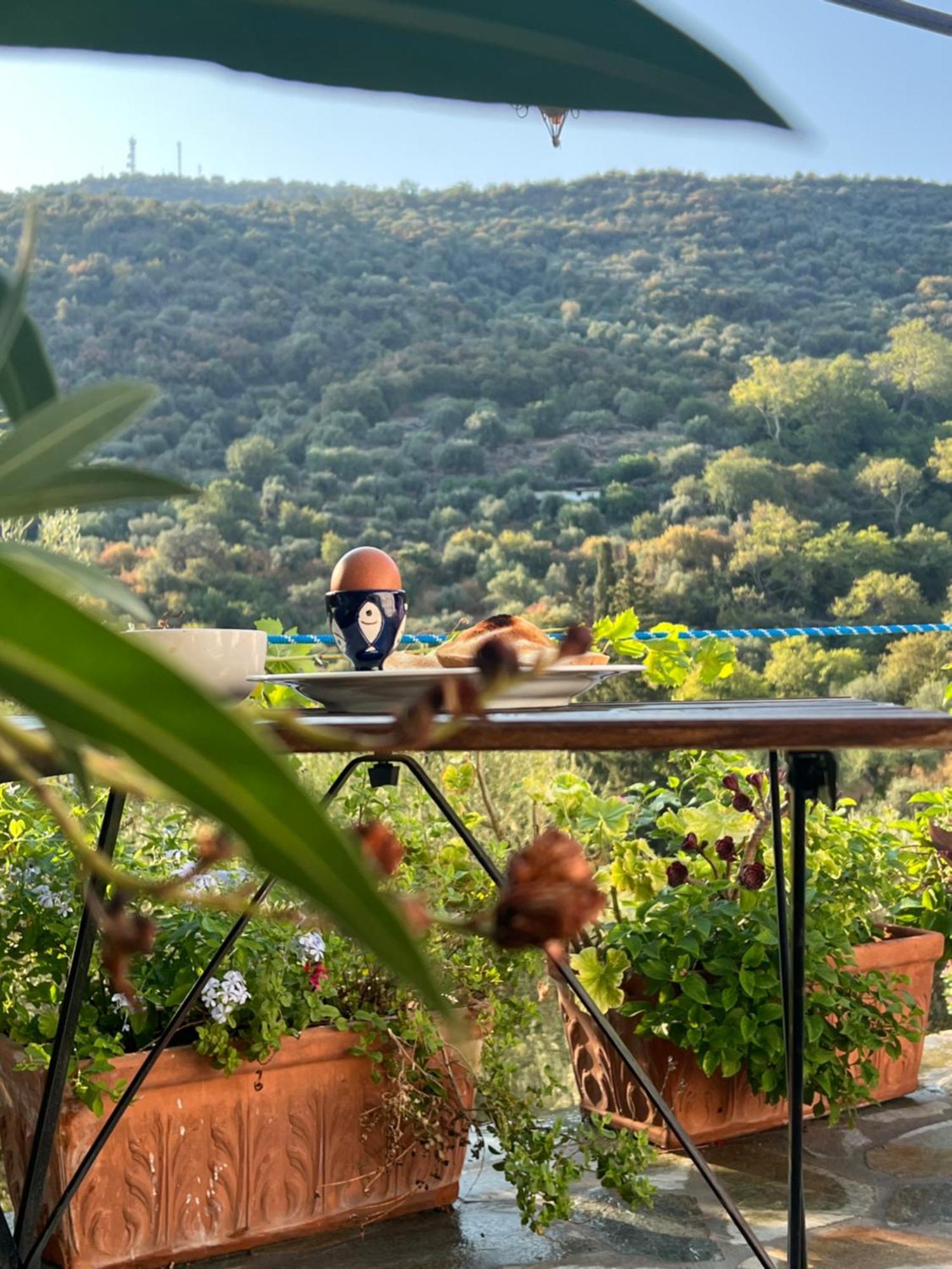 βορειου Ηπειρου Maison de vacances Τyros Sapounakeika Extérieur photo