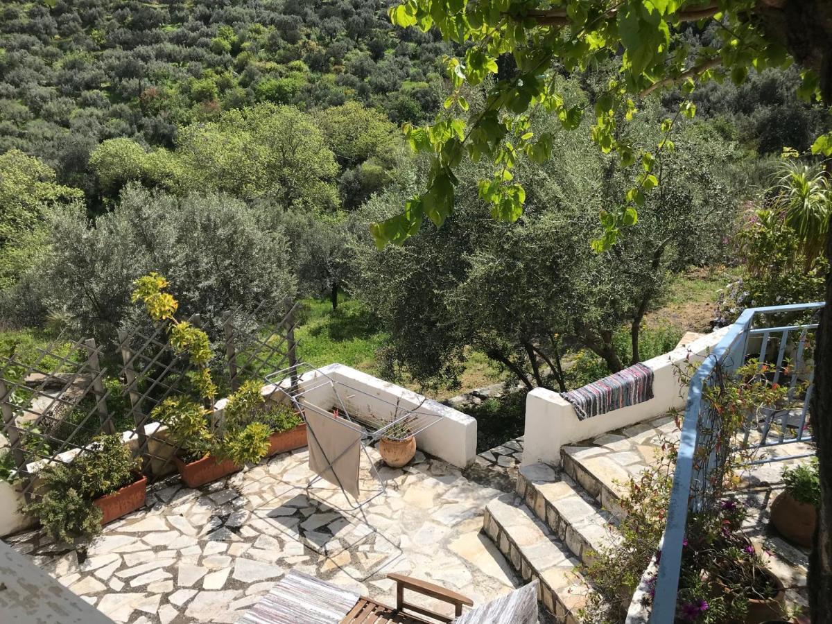 βορειου Ηπειρου Maison de vacances Τyros Sapounakeika Extérieur photo